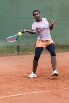 Bild 186 - Lilienthal Open